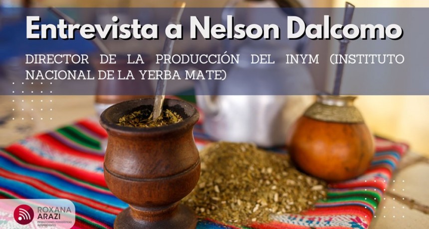 YERBA MATE: ¿por qué pagamos lo que pagamos?