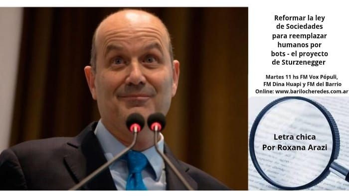 "Algoritmos al poder y bolsillos llenos para el gobierno: la nueva casta de Sturzenegger"