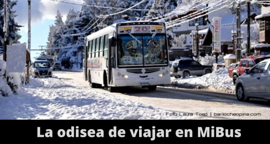 Depender del servicio de transporte urbano de pasajeros en Bariloche