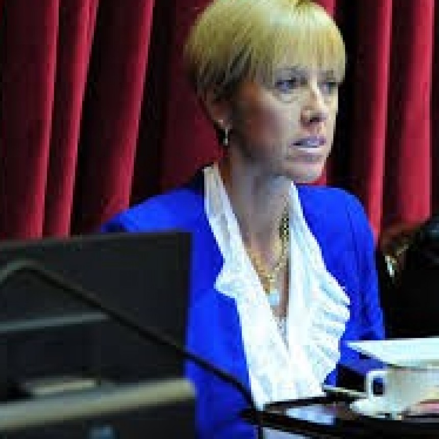 Piden a Larraburu Banca de la Mujer en el Senado.