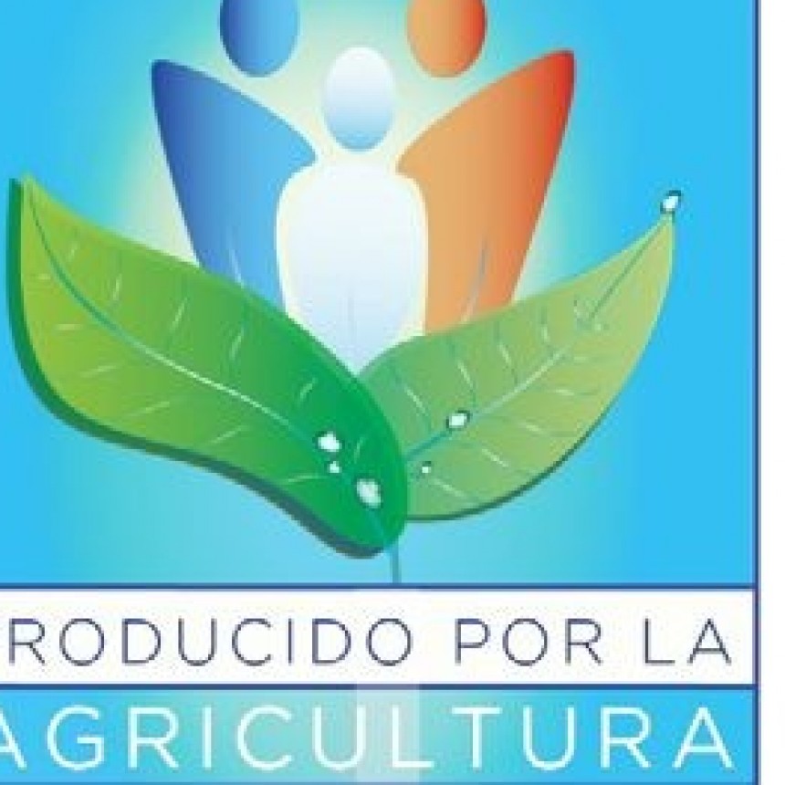 &iquest;Qui&eacute;n se har&aacute; cargo de los desocupados?
