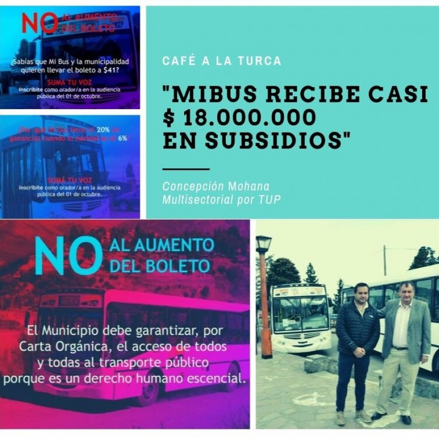 Entrevista a Concepci&oacute;n Mohana, de la Multisectorial por el Transporte Urbano de Pasajeros.