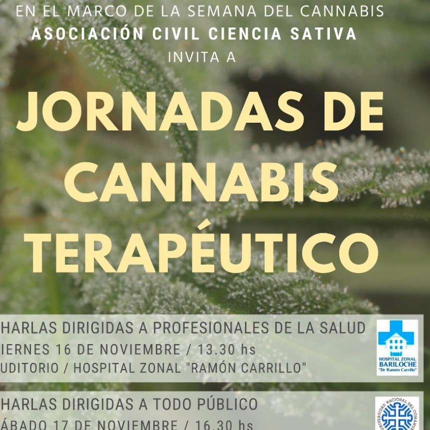 "Cannabis medicinal y/o terap&eacute;utico"