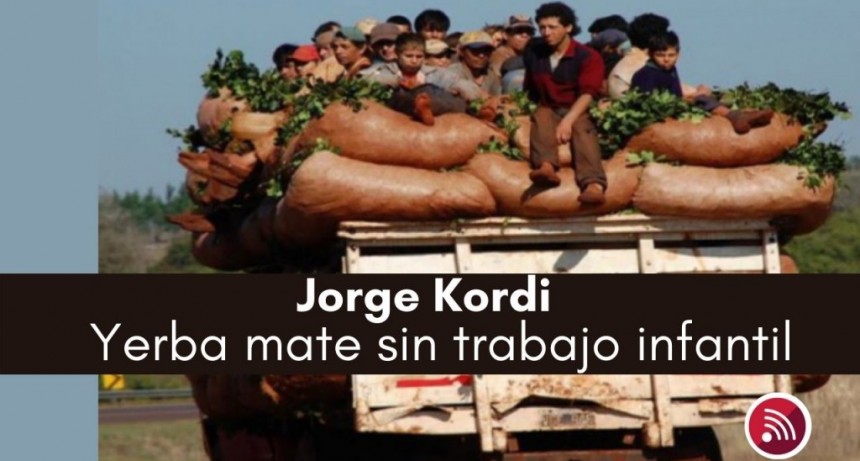 "En los yerbatales, los ni&ntilde;os/as no tienen posibilidad de elegir"